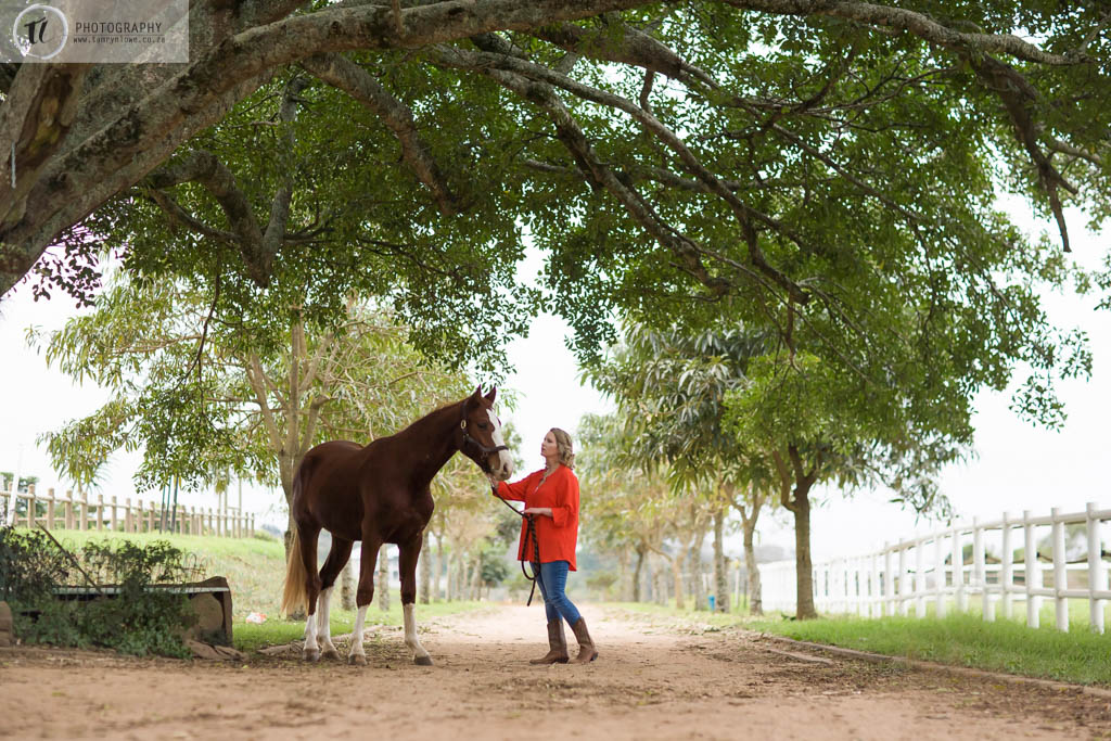 Kate & Vagabond’s Horse Portraits